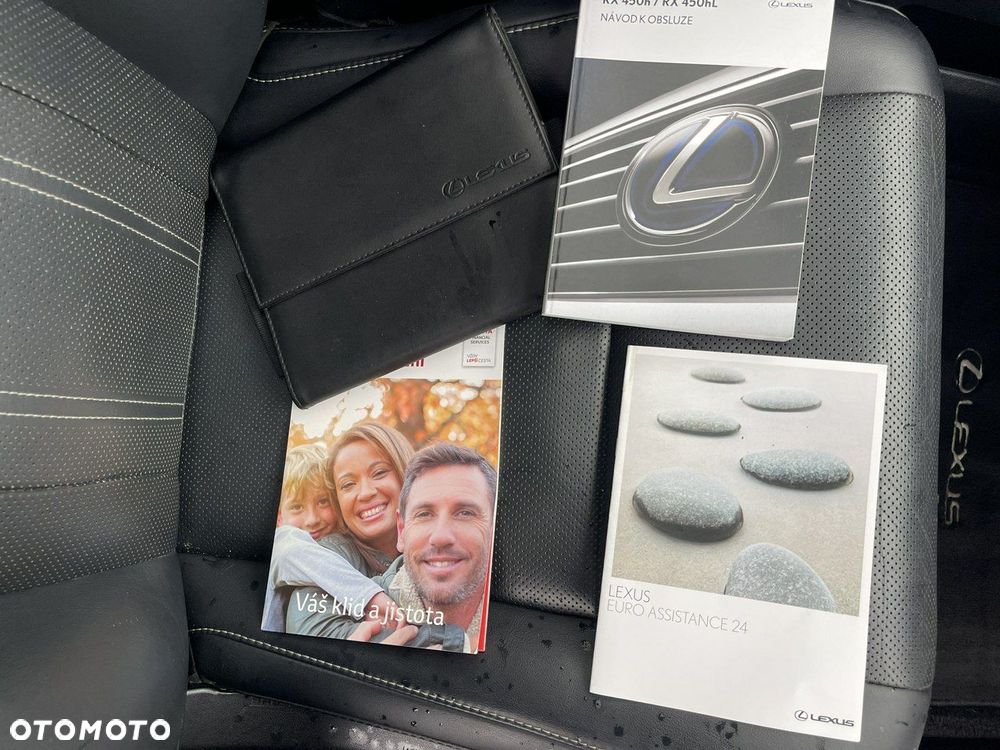 Lexus RX 450h (hybrid) Executive Line - 16