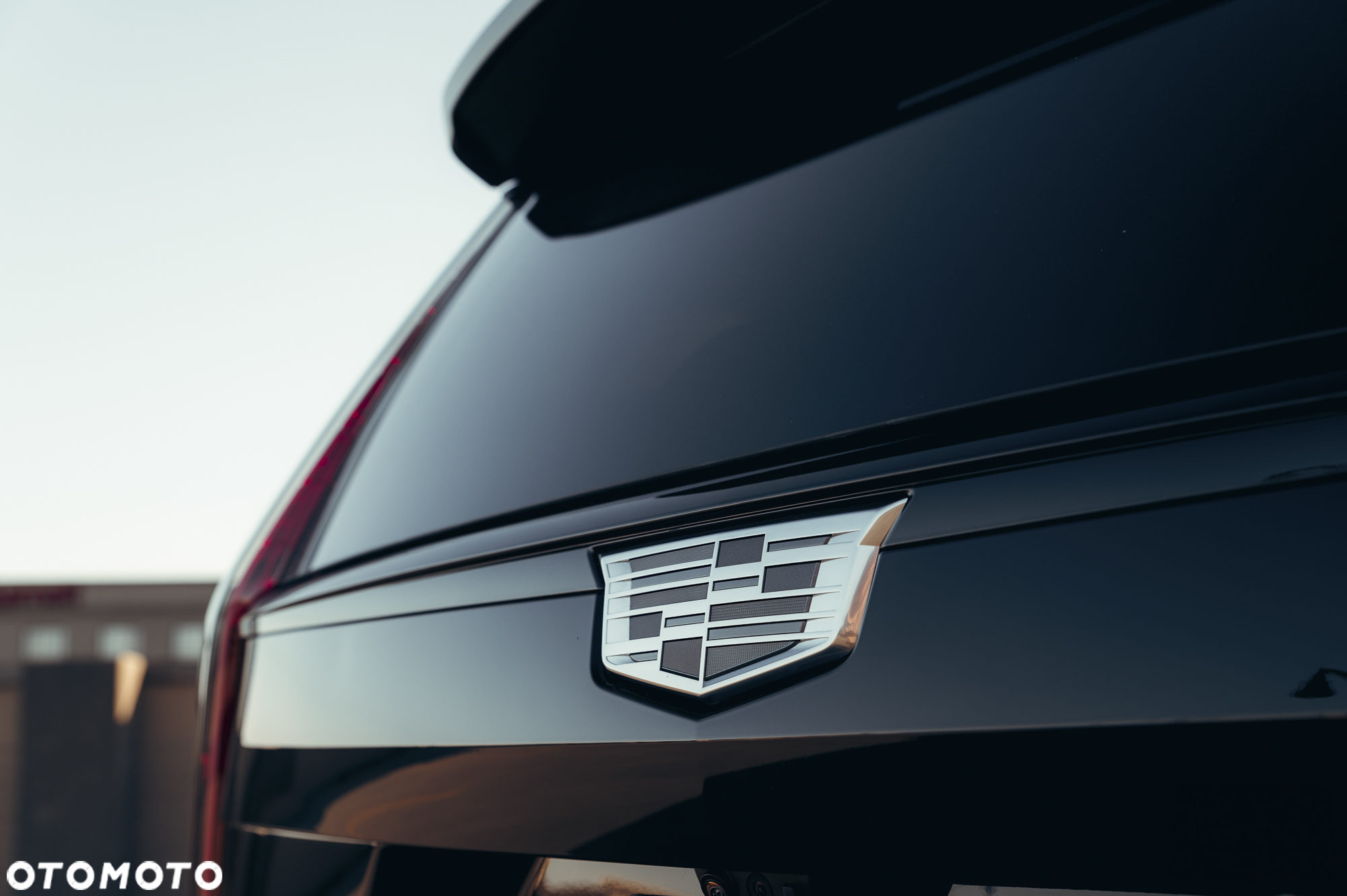 Cadillac Escalade - 5