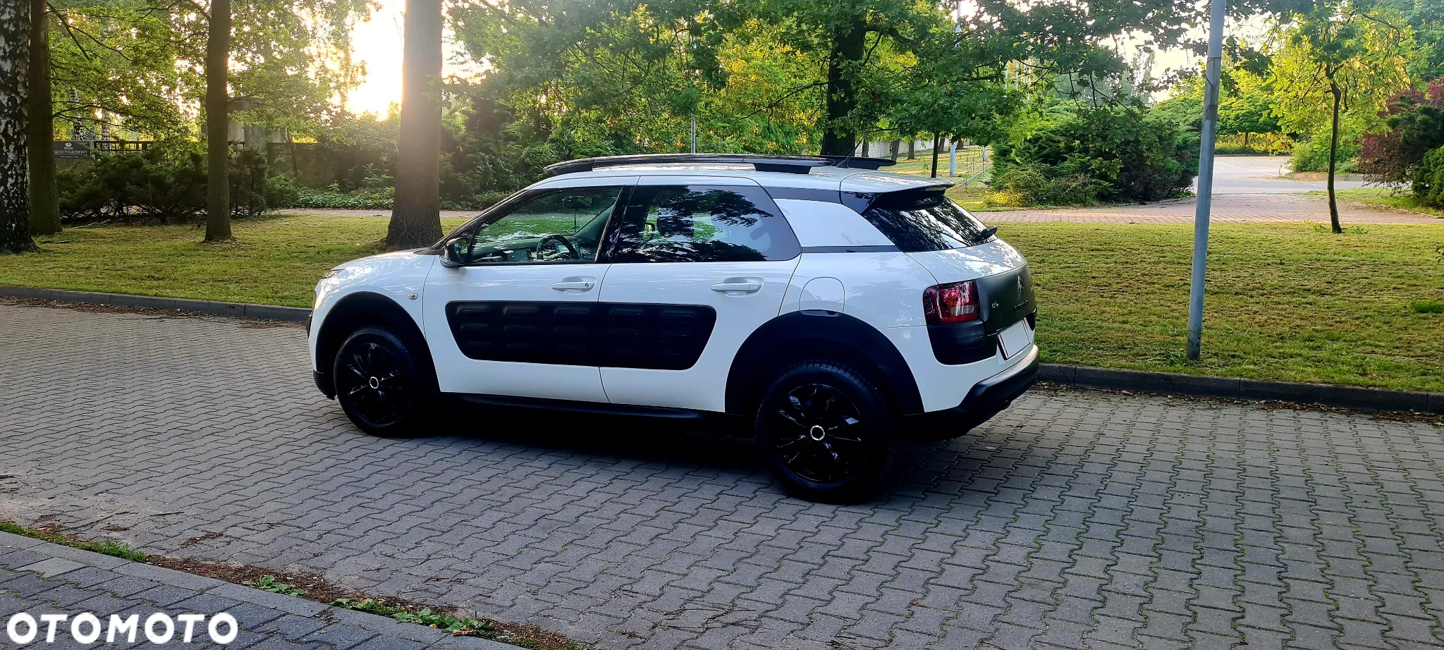 Citroën C4 Cactus 1.2 PureTech GPF Shine Pack S&S - 17