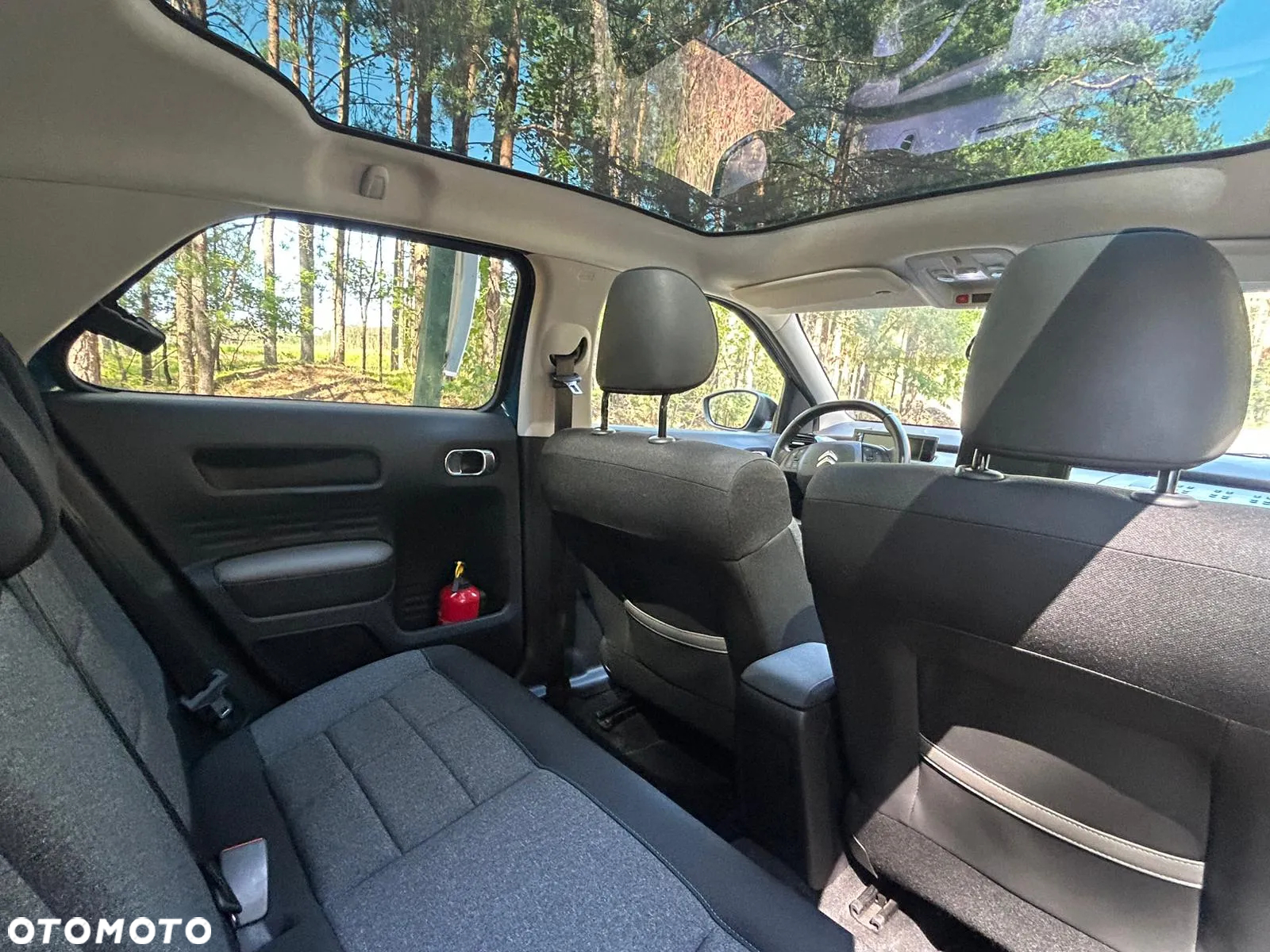 Citroën C4 Cactus 1.2 PureTech GPF Shine S&S - 10