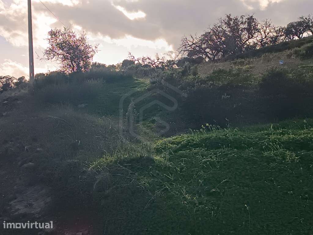 Terreno Rustico com 14360m2 em Azinhal, Castro Marim, Algarve - Grande imagem: 4/10