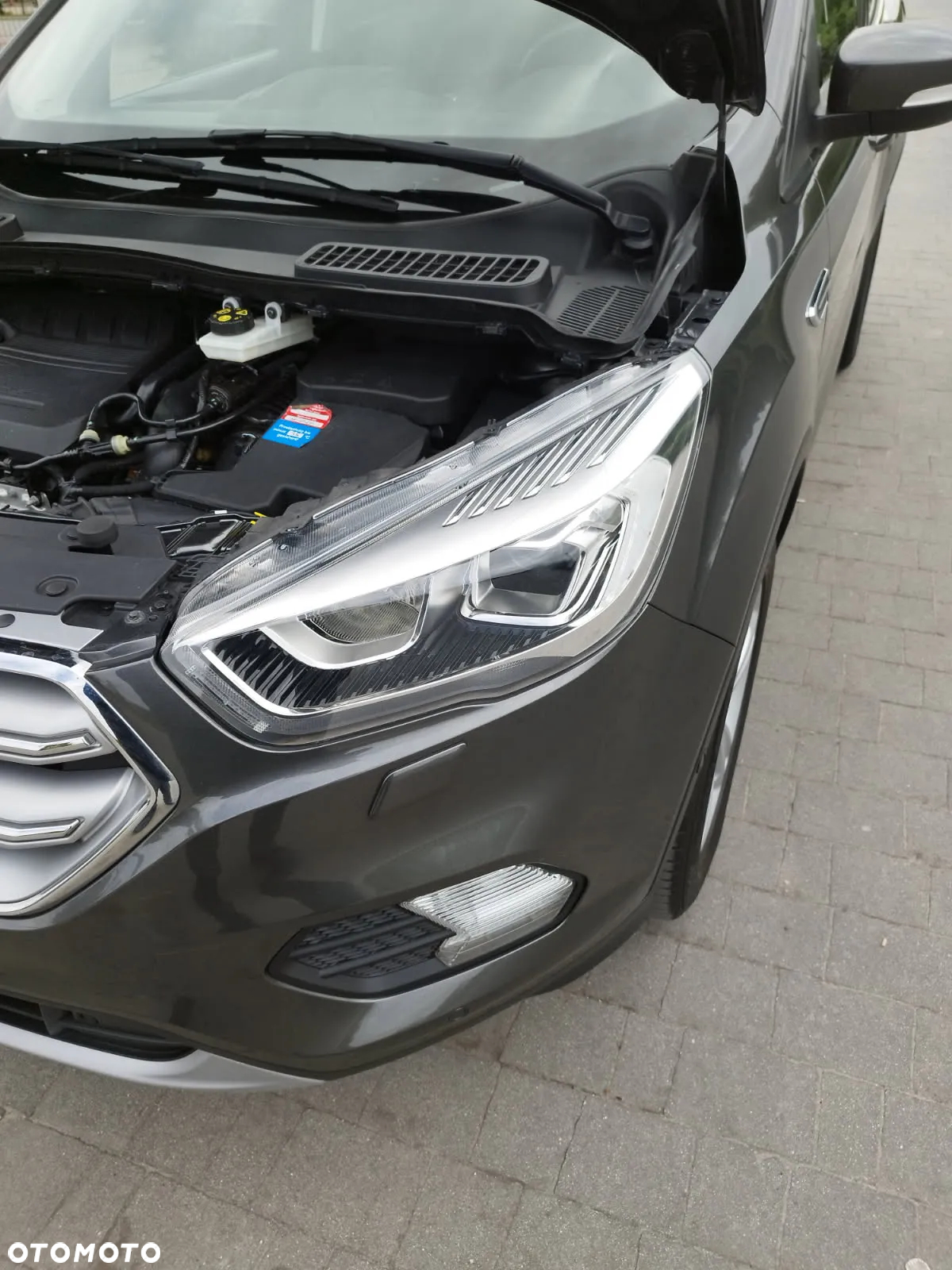 Ford Kuga 1.5 EcoBoost 2x4 Titanium - 16