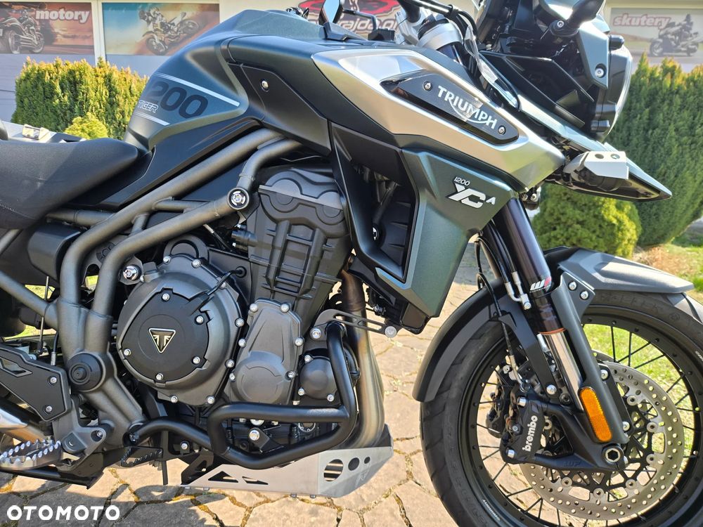 Triumph Tiger - 26