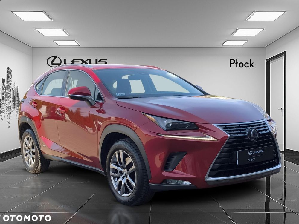 Lexus NX 300h Business Edition AWD - 7