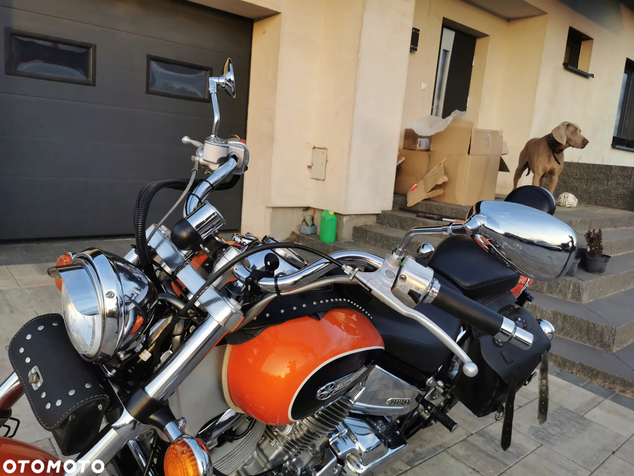Yamaha Drag Star - 12