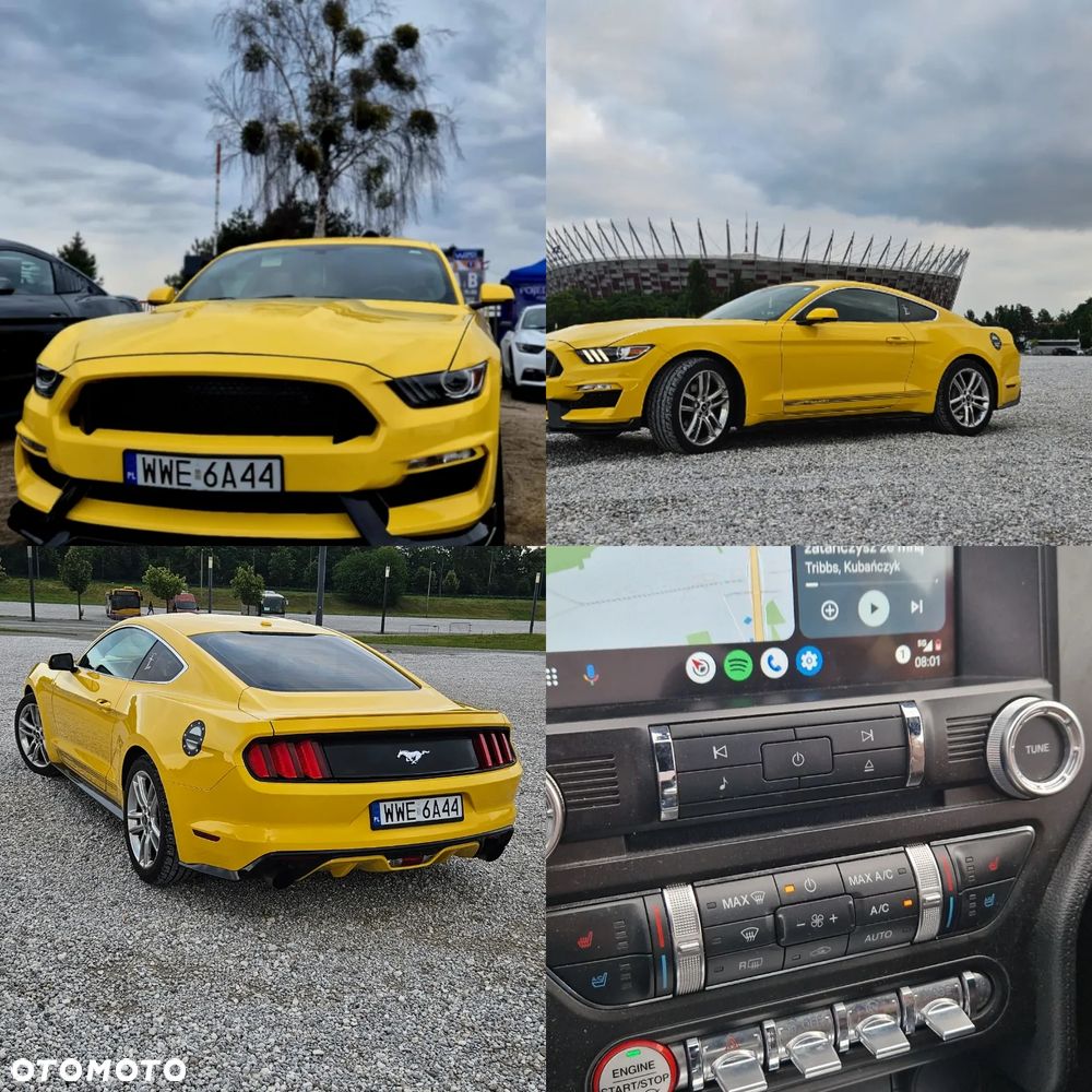 Ford Mustang 2.3 EcoBoost - 19