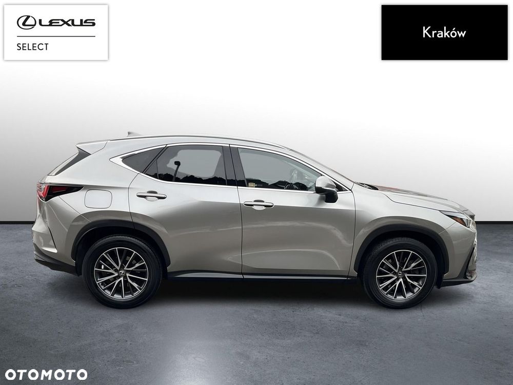 Lexus NX - 6