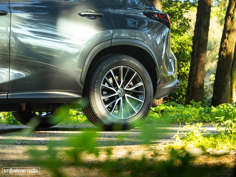 Lexus NX 350h Executive+ - 19