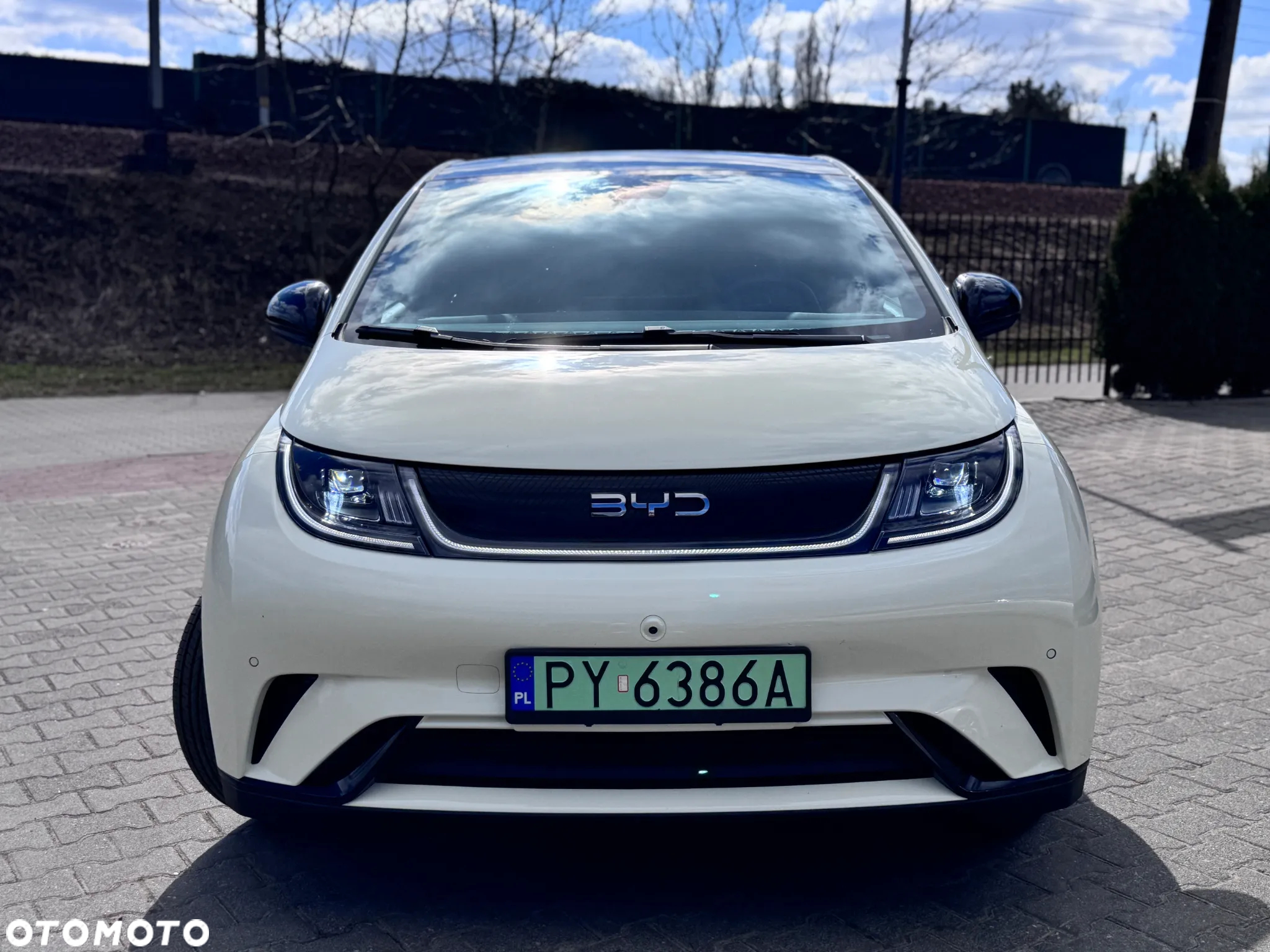 BYD Dolphin Comfort - 2