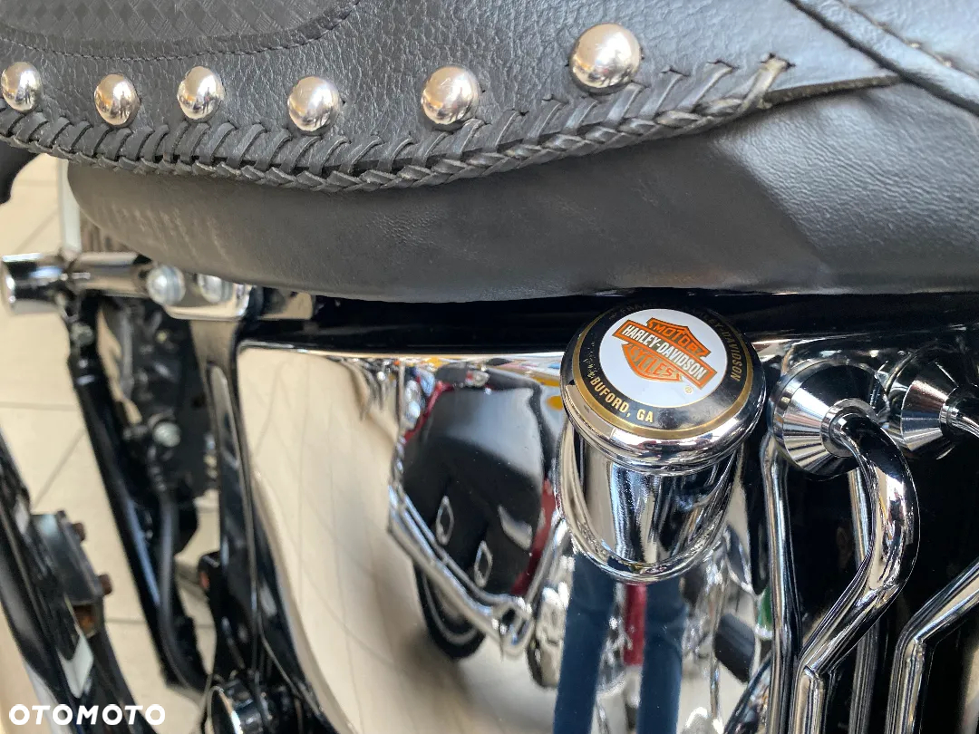 Harley-Davidson Softail - 33