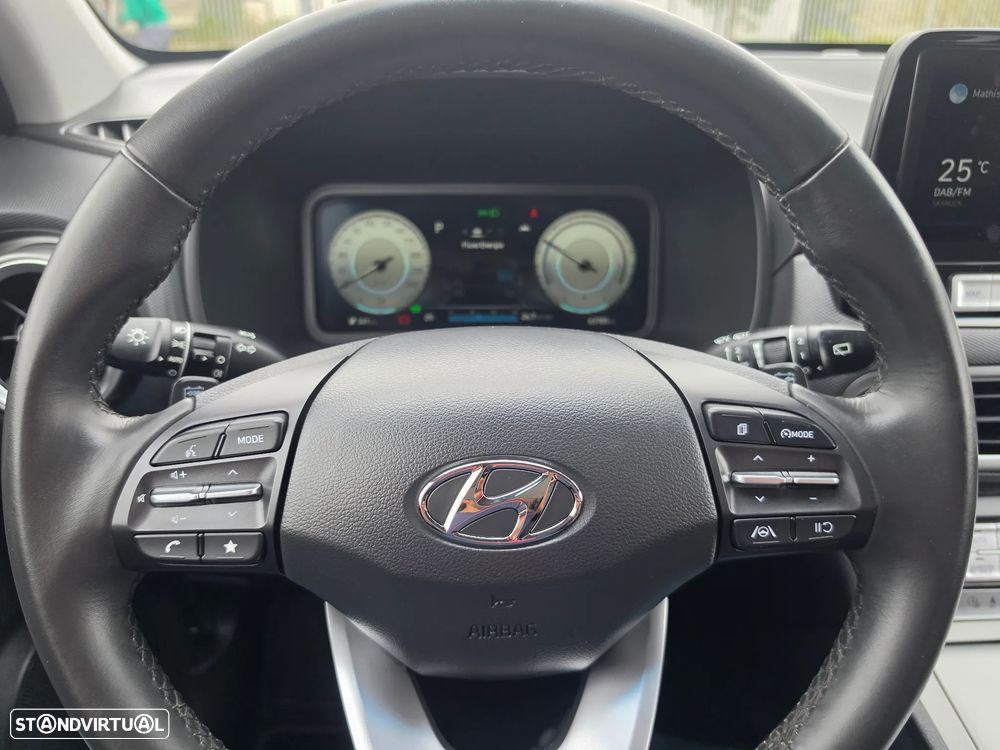 Hyundai Kauai Business - 20