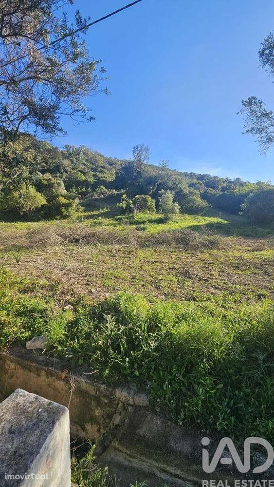 Terreno em Loulé (São Clemente) - Grande imagem: 5/8