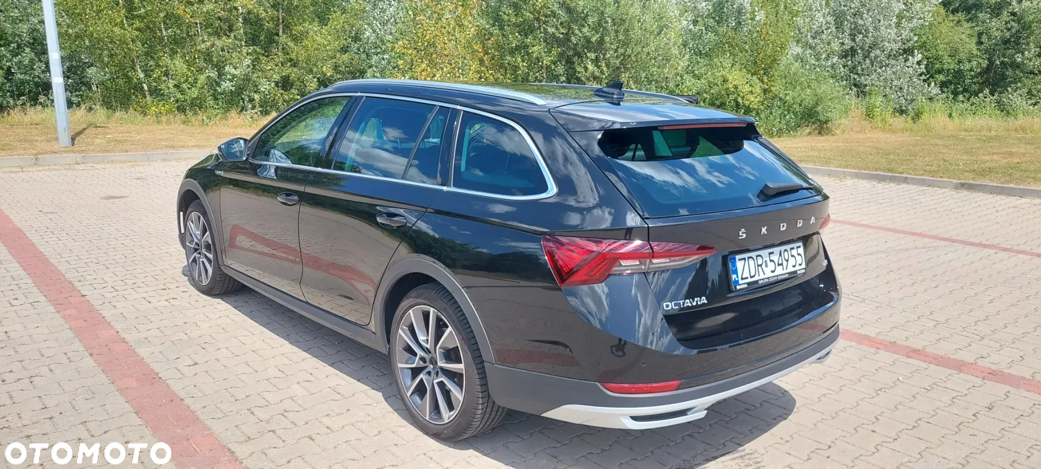 Skoda Octavia 2.0 TSI 4x4 Scout DSG - 33
