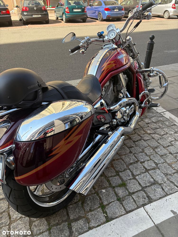 Harley-Davidson Softail V-Rod - 27