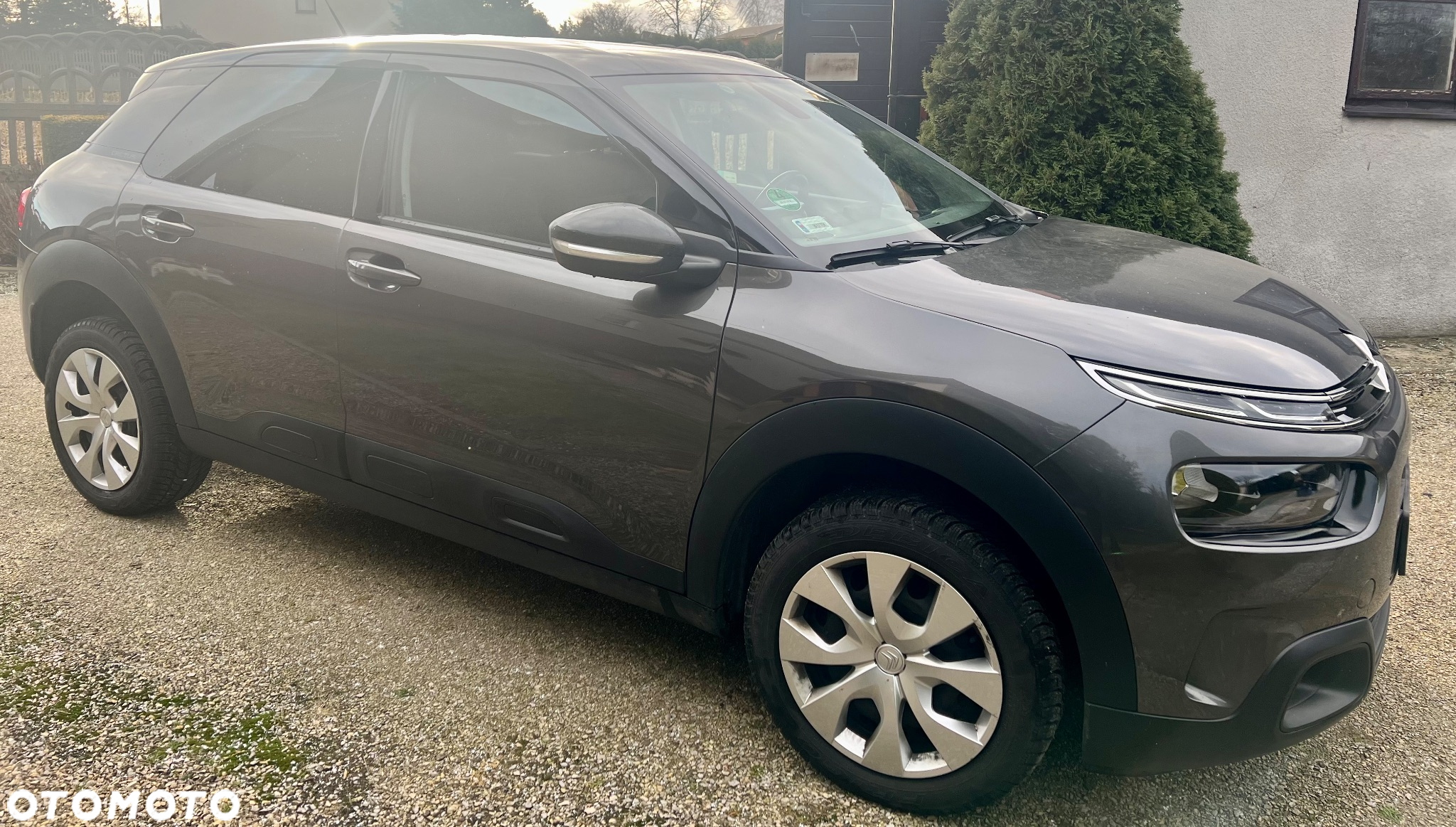 Citroën C4 Cactus 1.2 PureTech Feel Edition S&S - 3