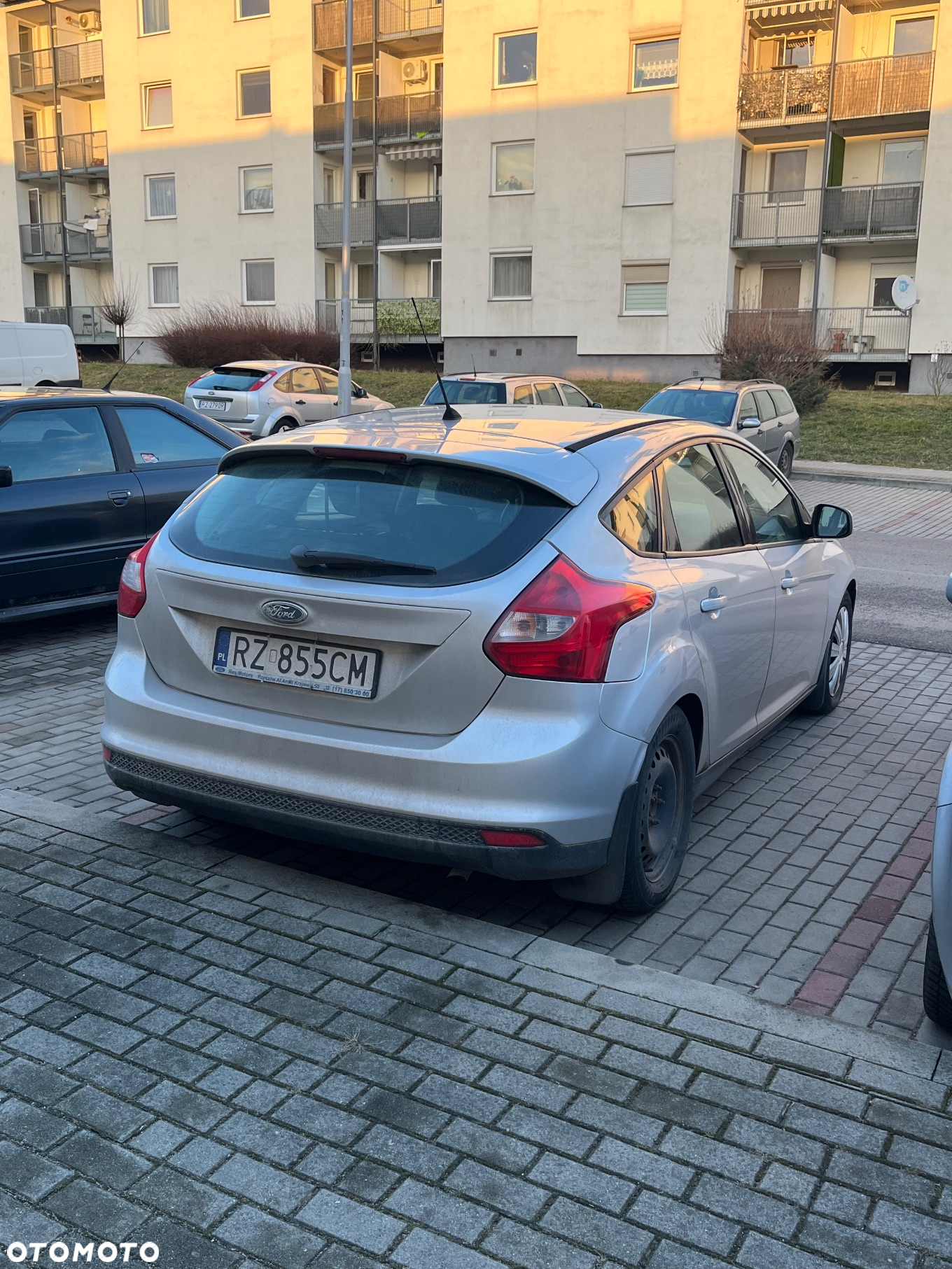 Ford Focus - 11