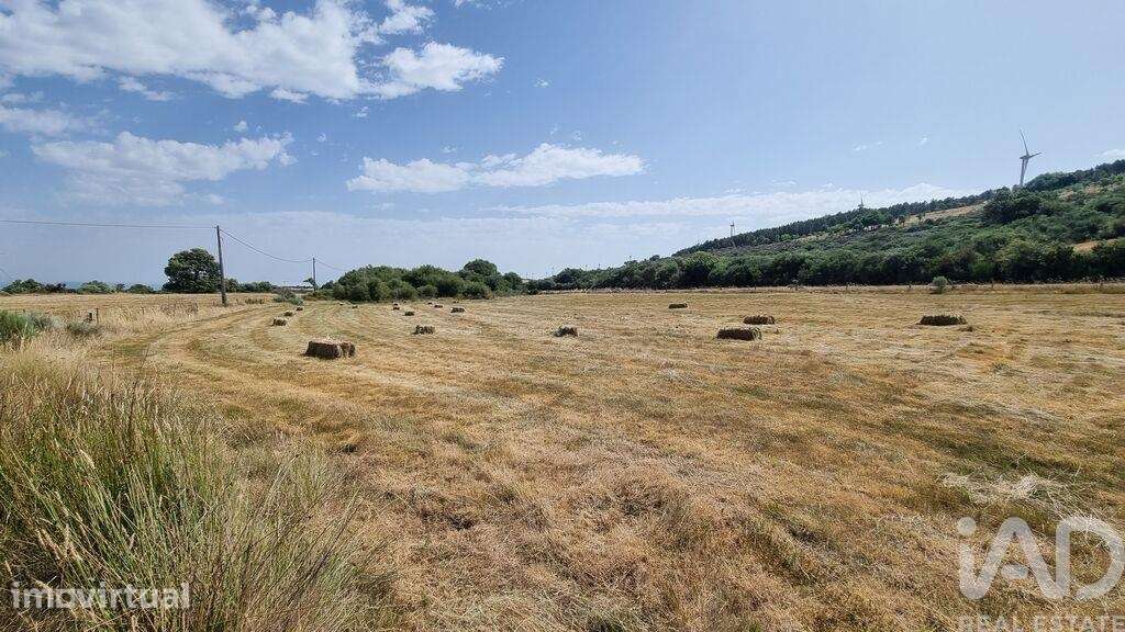 Terreno Agrícola em Prados - Grande imagem: 2/28