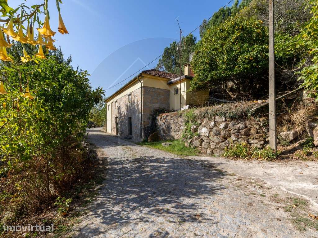 Propriedade com Vista Panorâmica para o Douro Moradia e Terreno com... - Grande imagem: 3/55