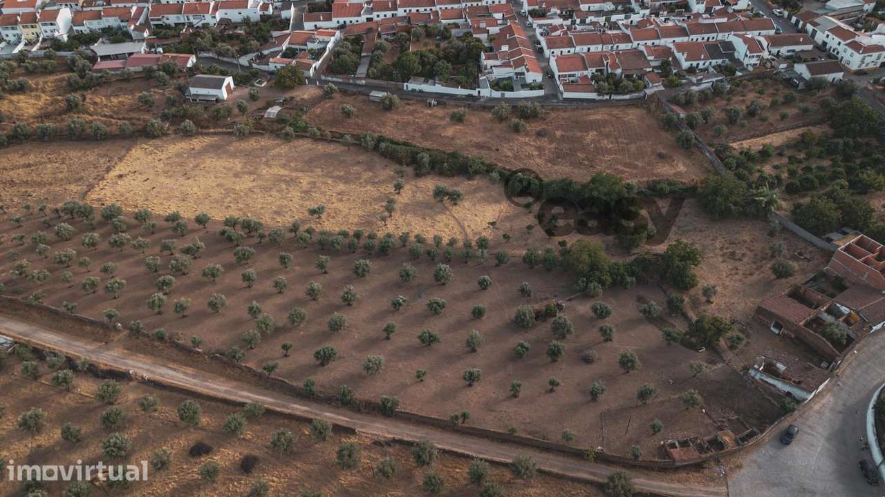 TERRENO MISTO COM 1,65 HA PARA VENDA EM PORTEL - Grande imagem: 2/16