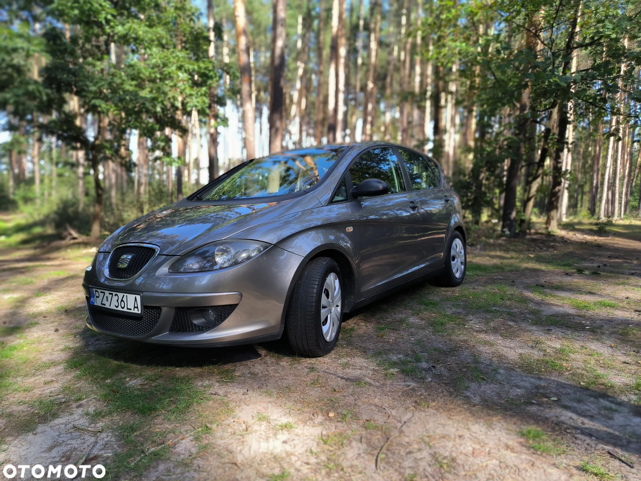 Seat Altea - 3