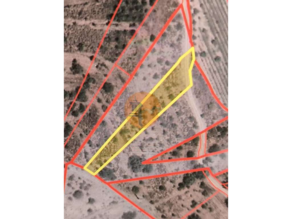 TERRENO RUSTICO COM 2.155 M2 - JUNQUEIRA - BELICHE - CASTRO MARIM -... - Grande imagem: 2/25