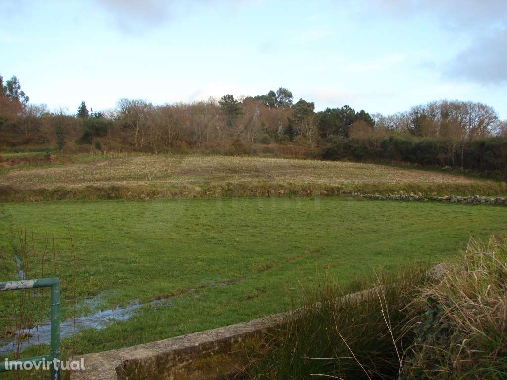Terreno Agrícola - Grande imagem: 4/4