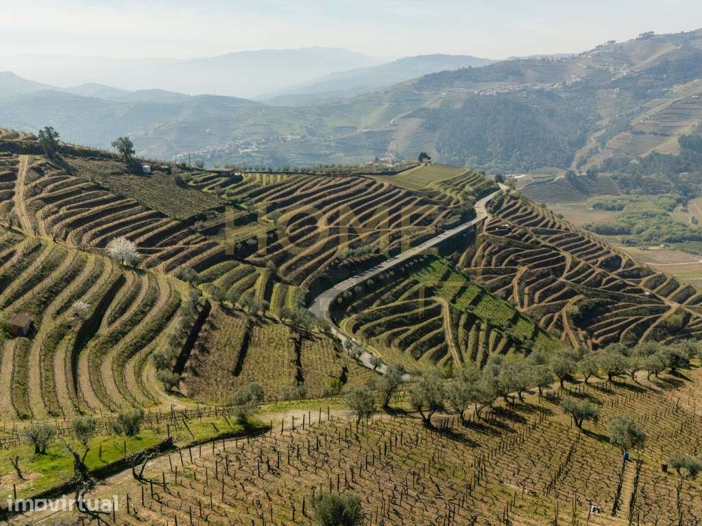 Quinta T4 com Vinhas e Oliveiras, em Santa Marta de Penaguião - Douro - Grande imagem: 5/60
