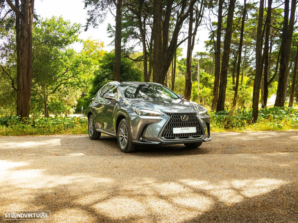 Lexus NX 450h+ Executive - 7