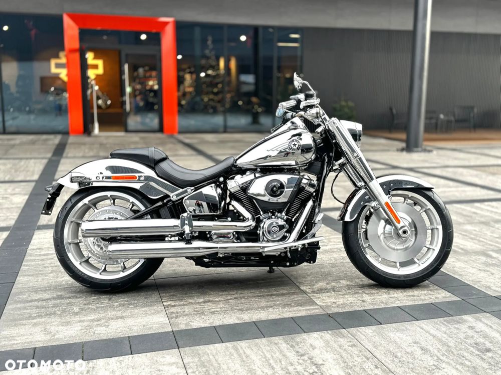 Harley-Davidson Softail - 3