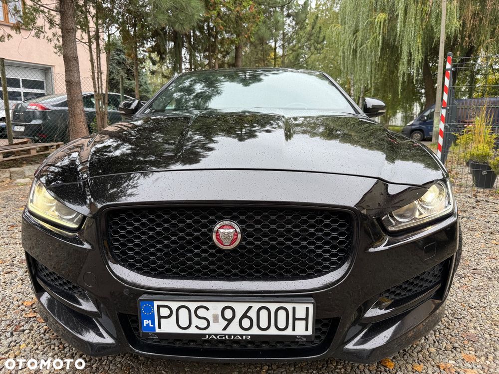 Jaguar XE - 27