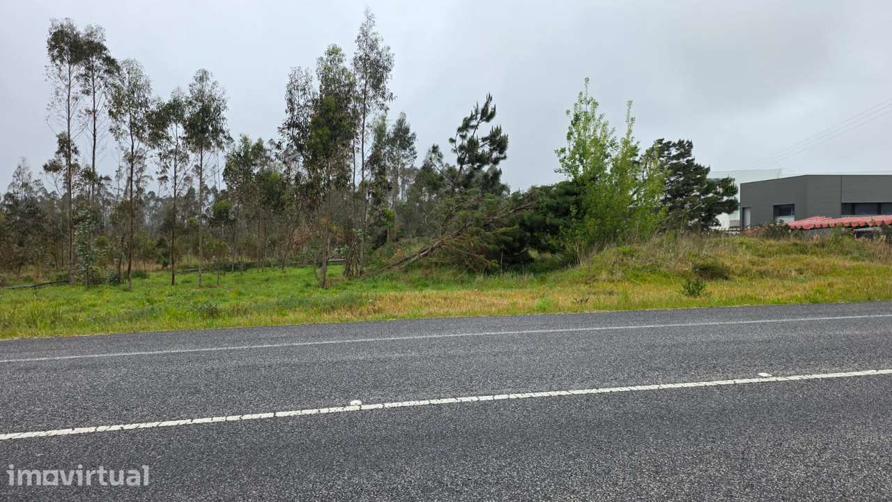 Terreno rústico de 7600m² de área, em Moita Marinha Grande - Grande imagem: 2/9