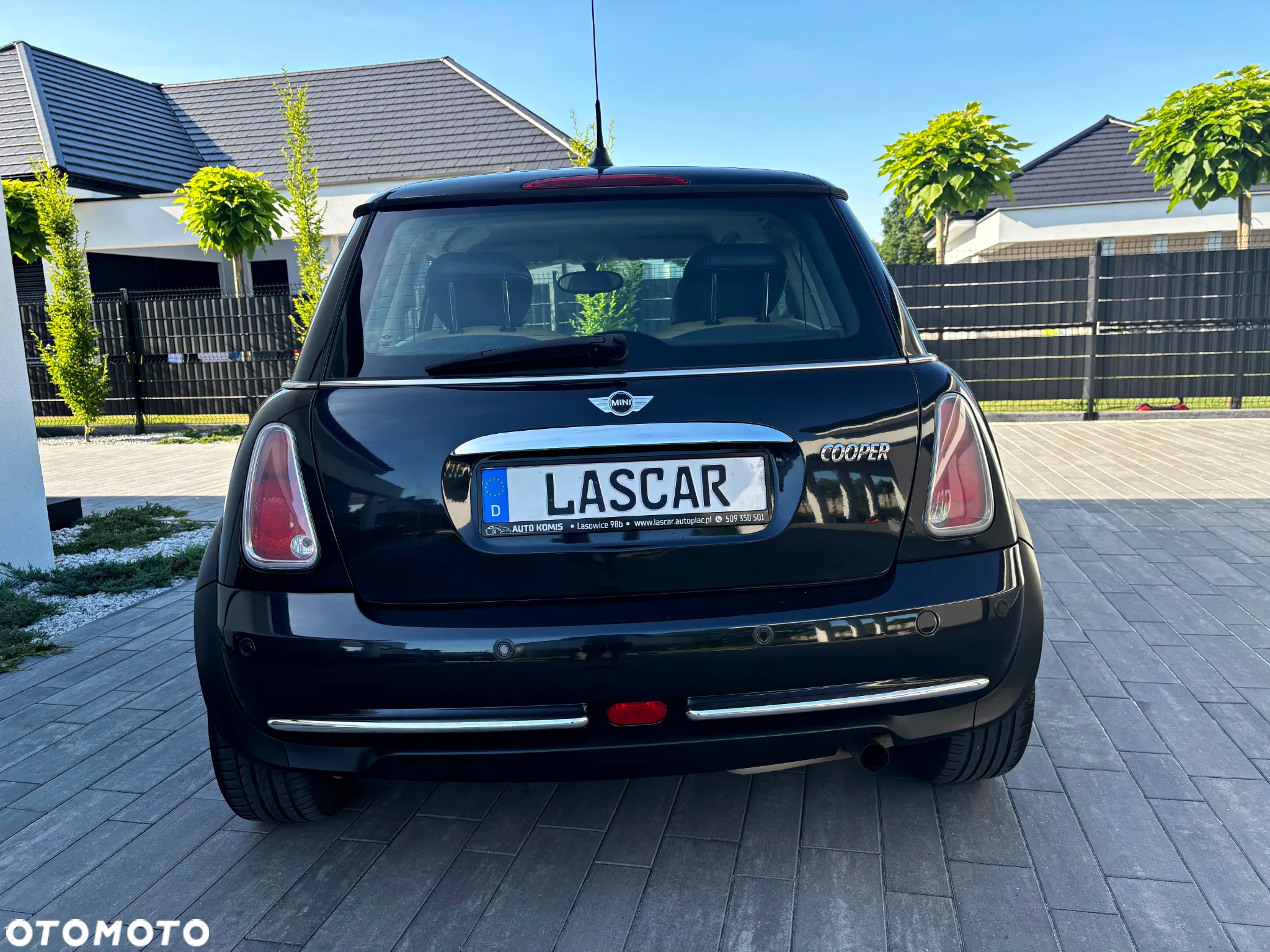 MINI Cooper pepper - 12