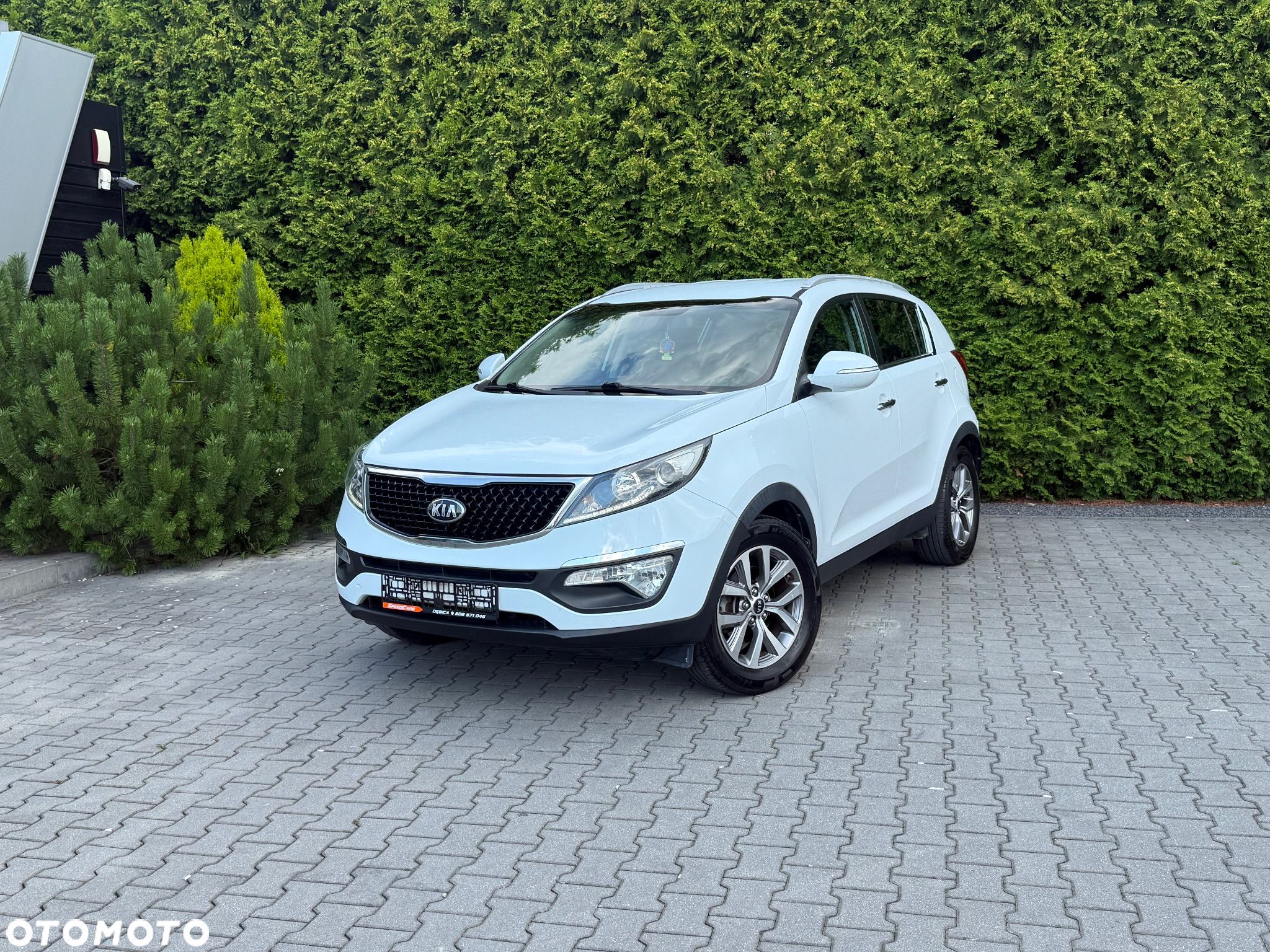 Kia Sportage - 1