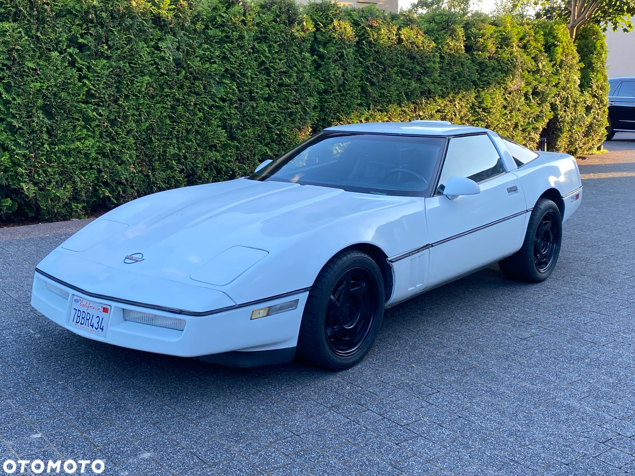 Chevrolet Corvette - 8