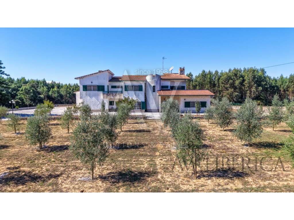 QUINTA - PAIO MENDES - FERREIRA DO ZÊZERE |LEILÃO ELETRÓNICO| FIM 2... - Grande imagem: 3/56