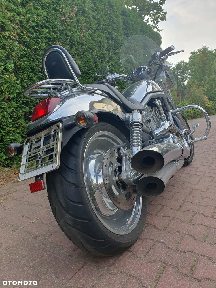 Harley-Davidson V-Rod Street Rod - 6