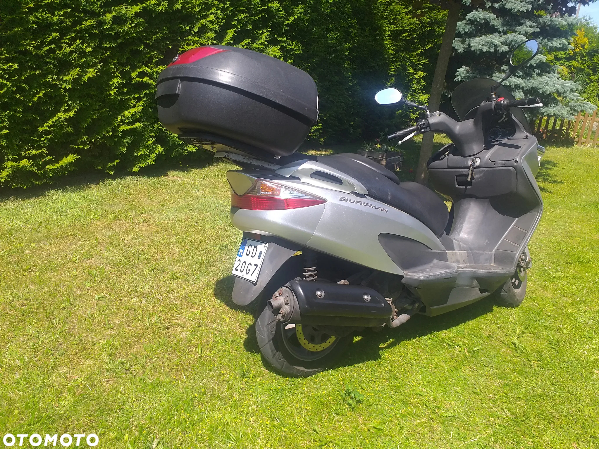 Suzuki Burgman - 5