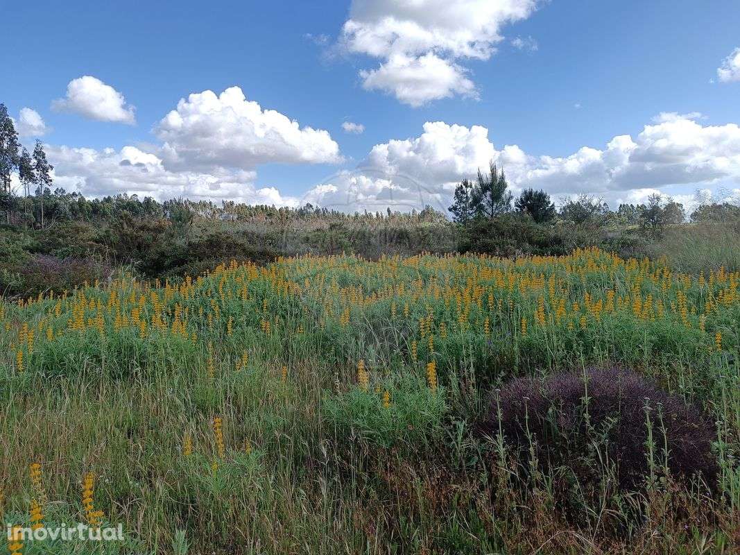 Terreno  para venda - Grande imagem: 2/5