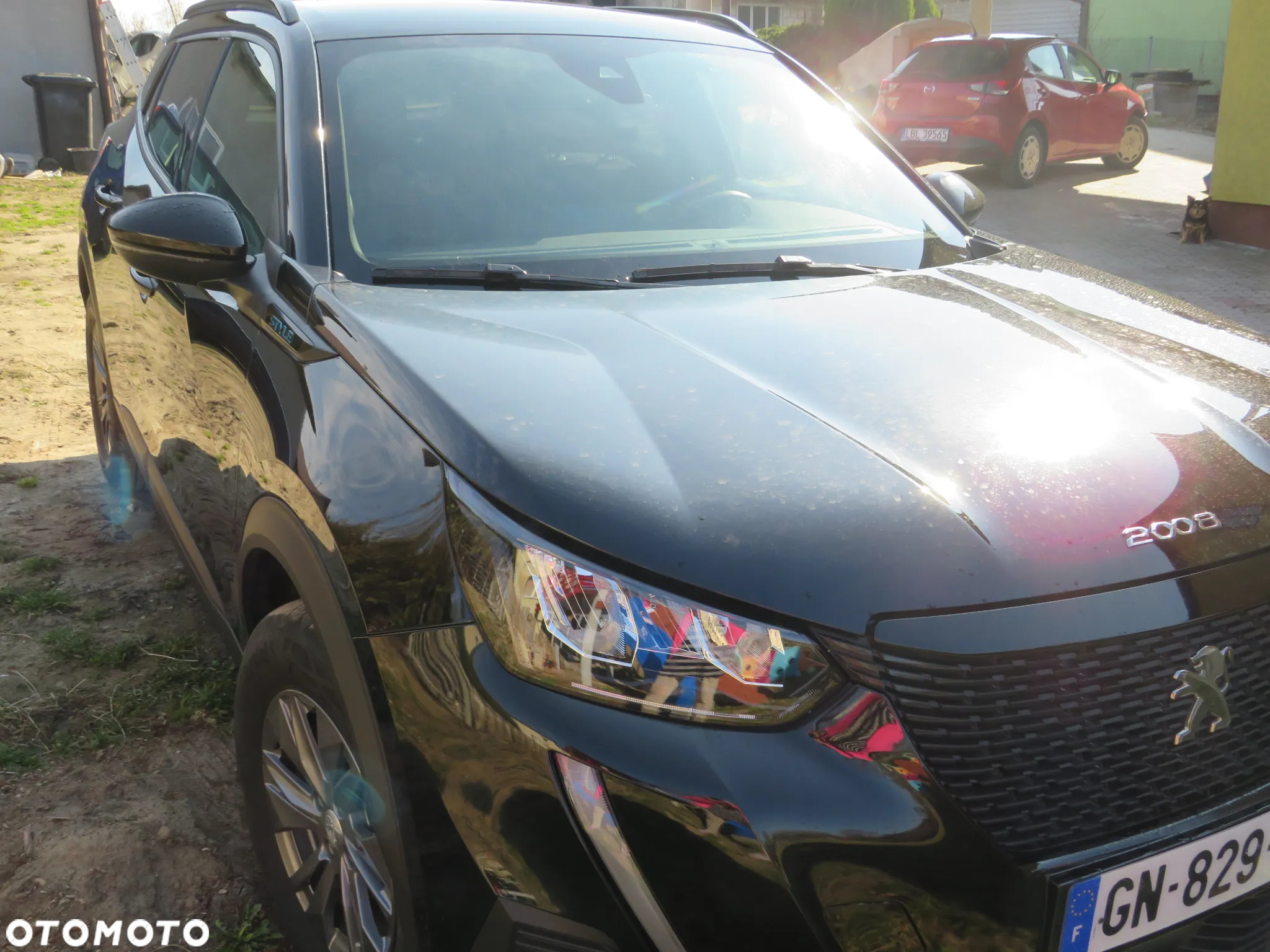 Peugeot 2008 PureTech 100 Active - 12