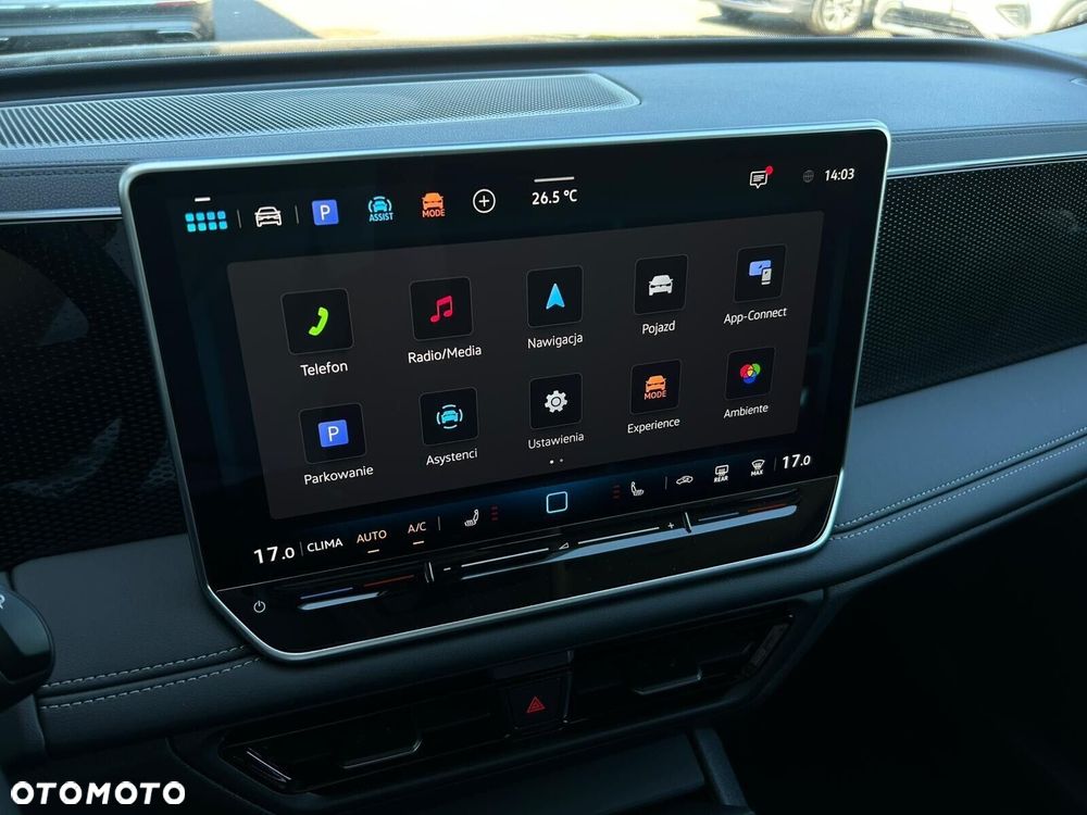 Volkswagen Tiguan - 19