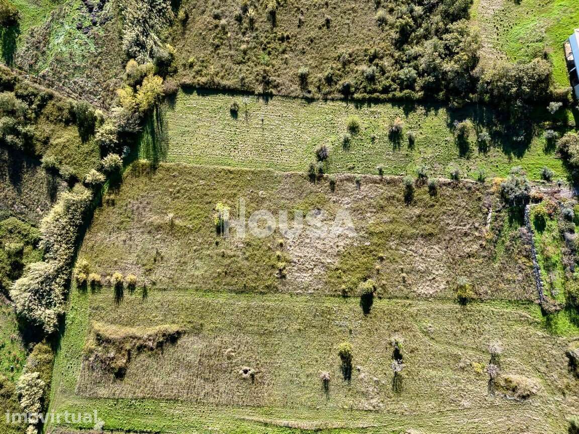 Terreno Rústico com 7.670m² nos Golfeiros – Batalha - Grande imagem: 5/9