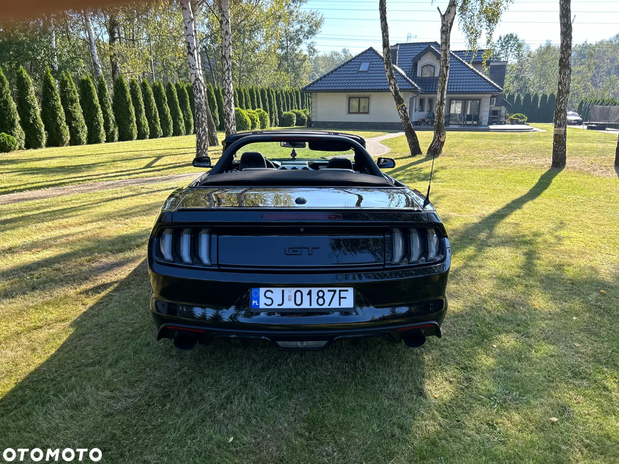 Ford Mustang - 21