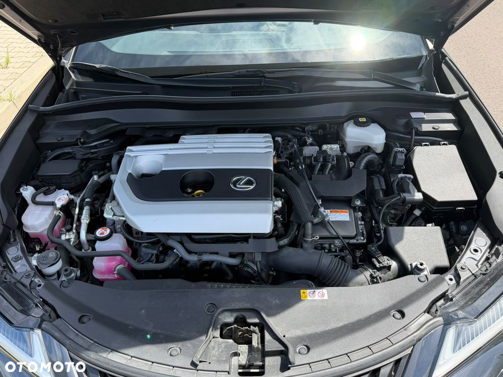 Lexus UX 250h - 24