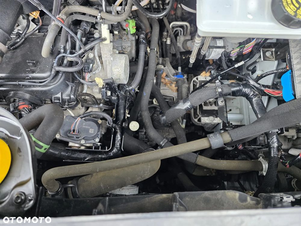 Renault Master - 15