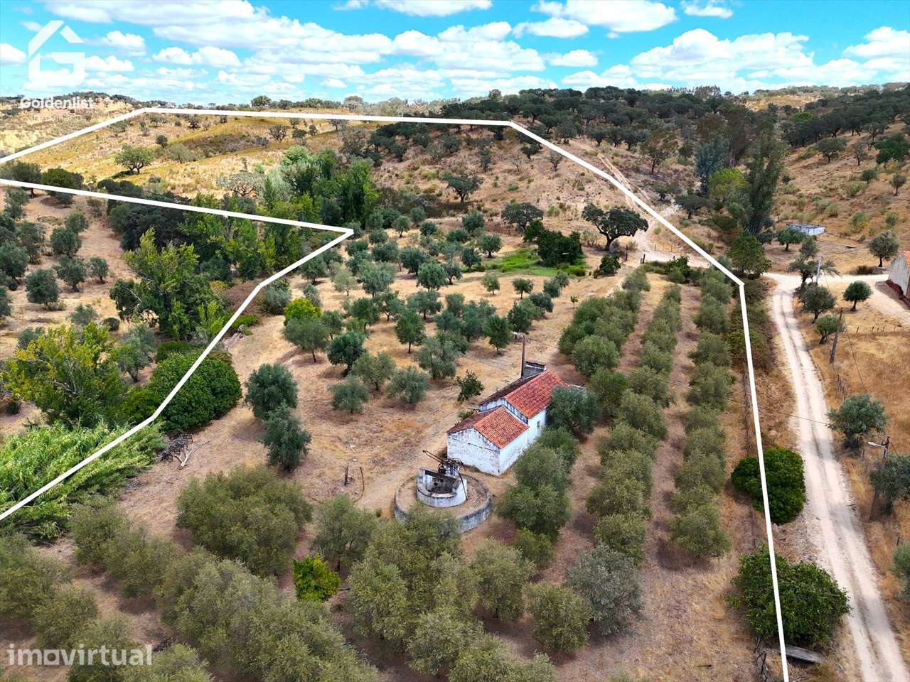 Quinta T1 Venda em Benavila e Valongo,Avis - Grande imagem: 2/41