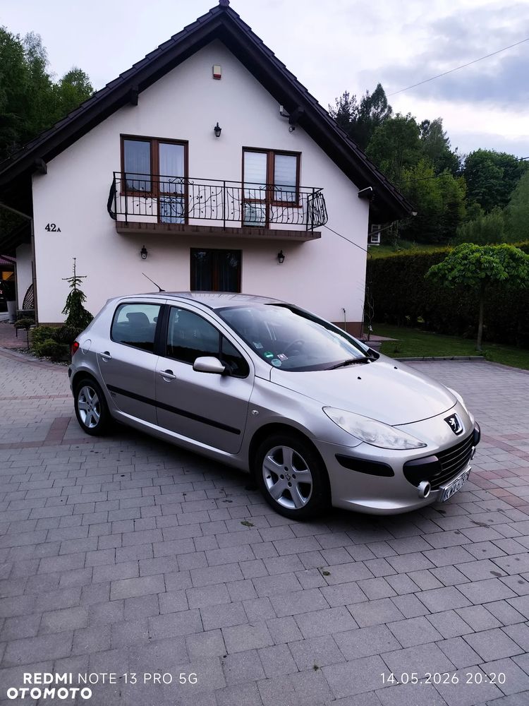 Peugeot 307 - 6