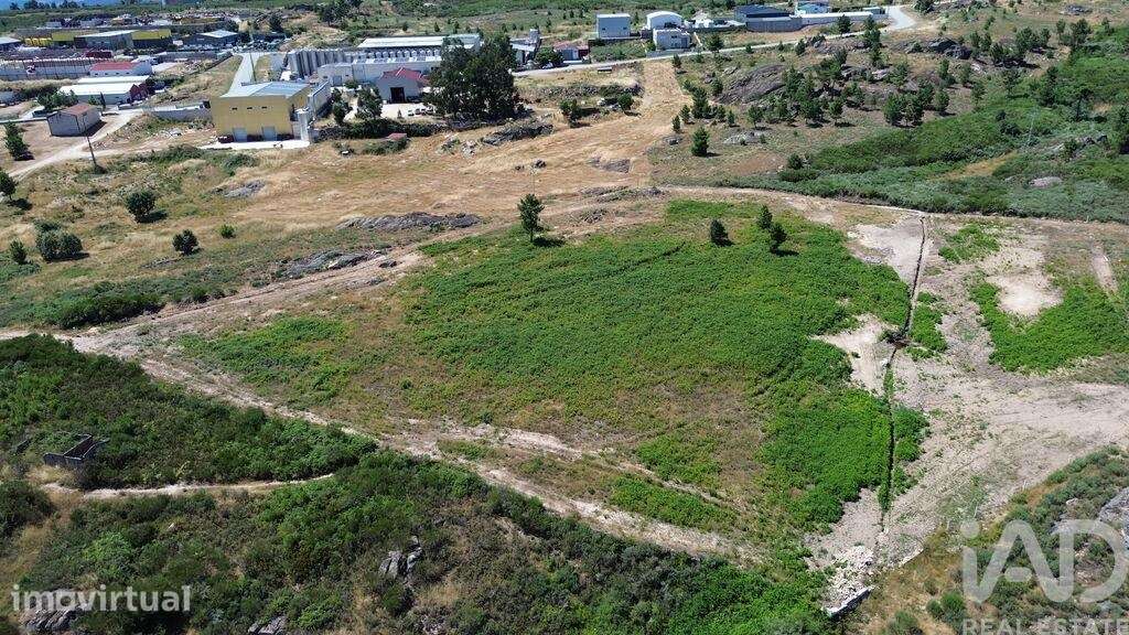 Terreno Agrícola em Vila Chã - Grande imagem: 3/17