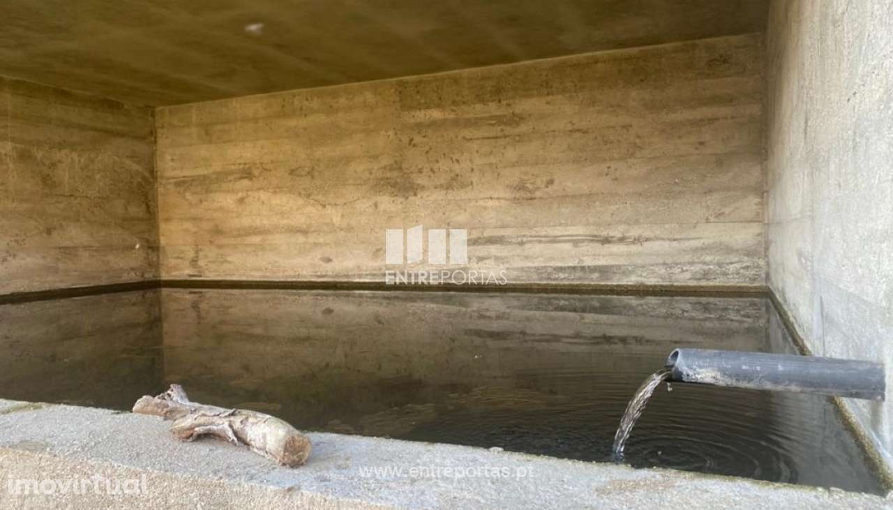 Venda Terreno, Penha Longa, Marco de Canaveses - Grande imagem: 3/29