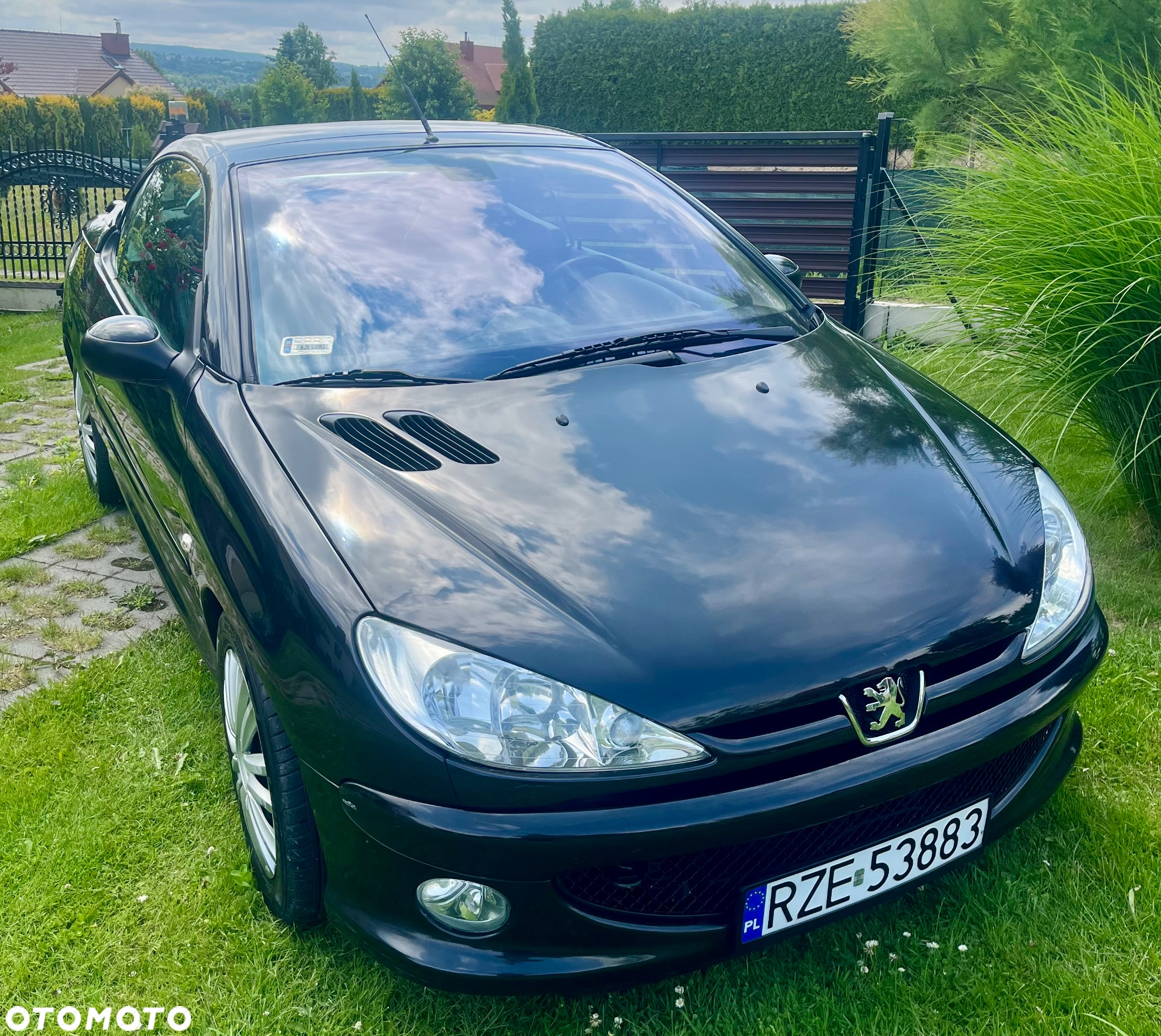 Peugeot 206 2.0 S16 - 10