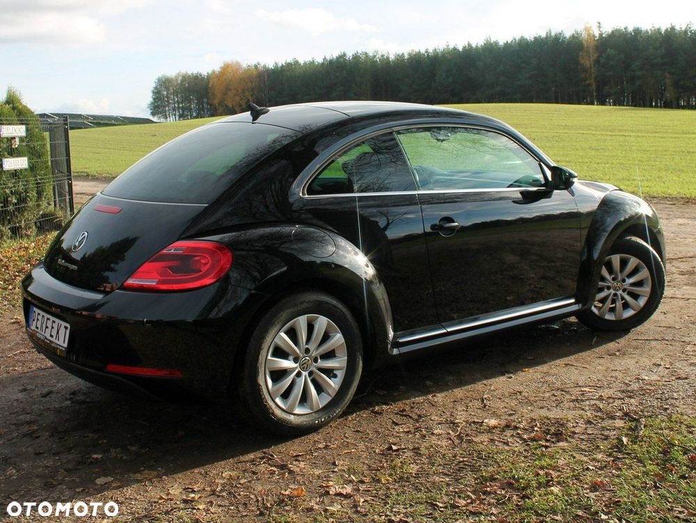 Volkswagen Beetle - 23